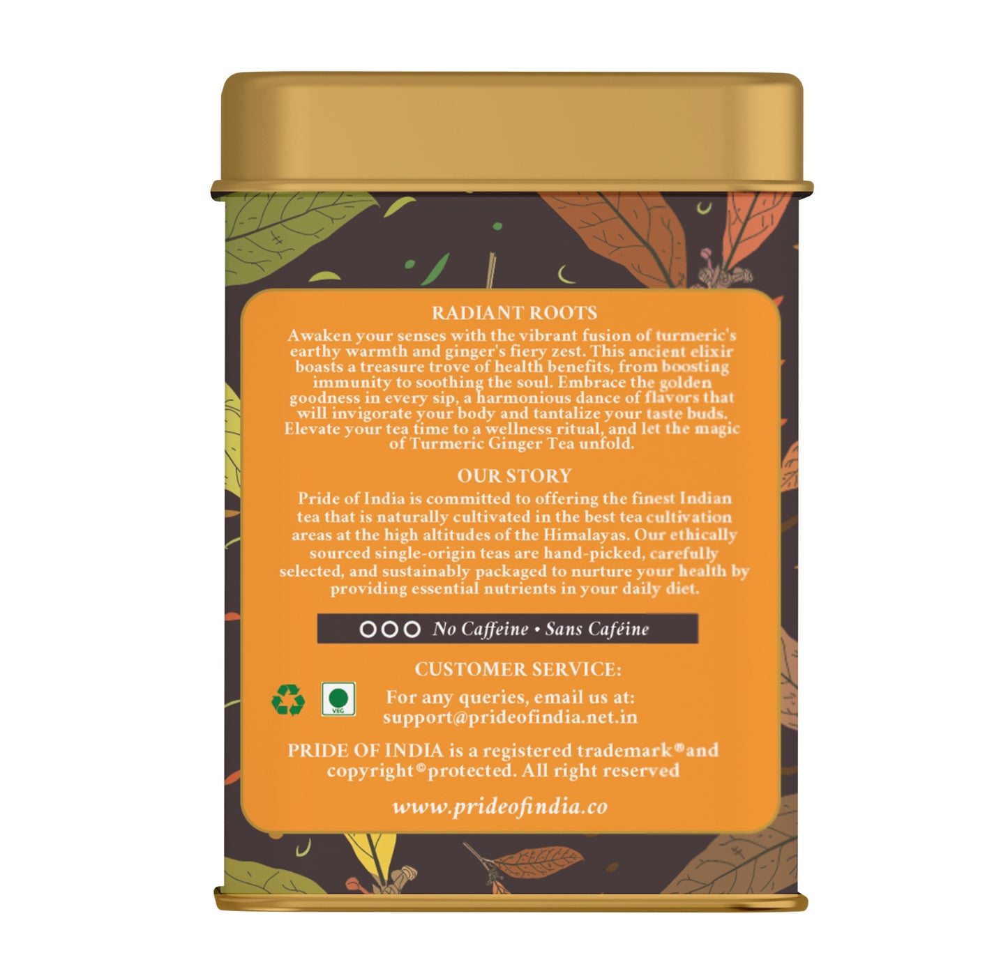 Golden Elixir - Turmeric Ginger Tea Bags