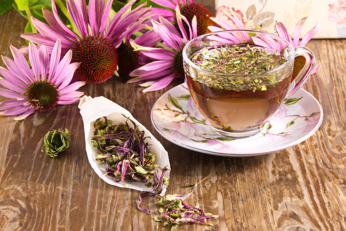 PALMHerbal Tea - Immunity Blend: Echinacea & Elderberry