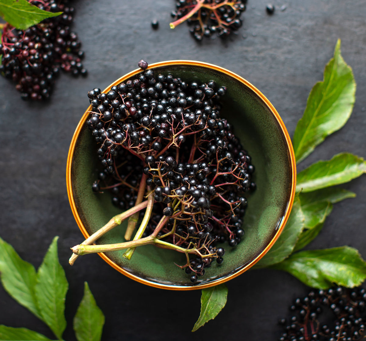 PALMHerbal Tea - Immunity Blend: Echinacea & Elderberry